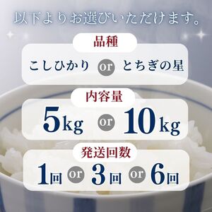 【定期便6回】栃木県産とちぎの星 10kg | お米