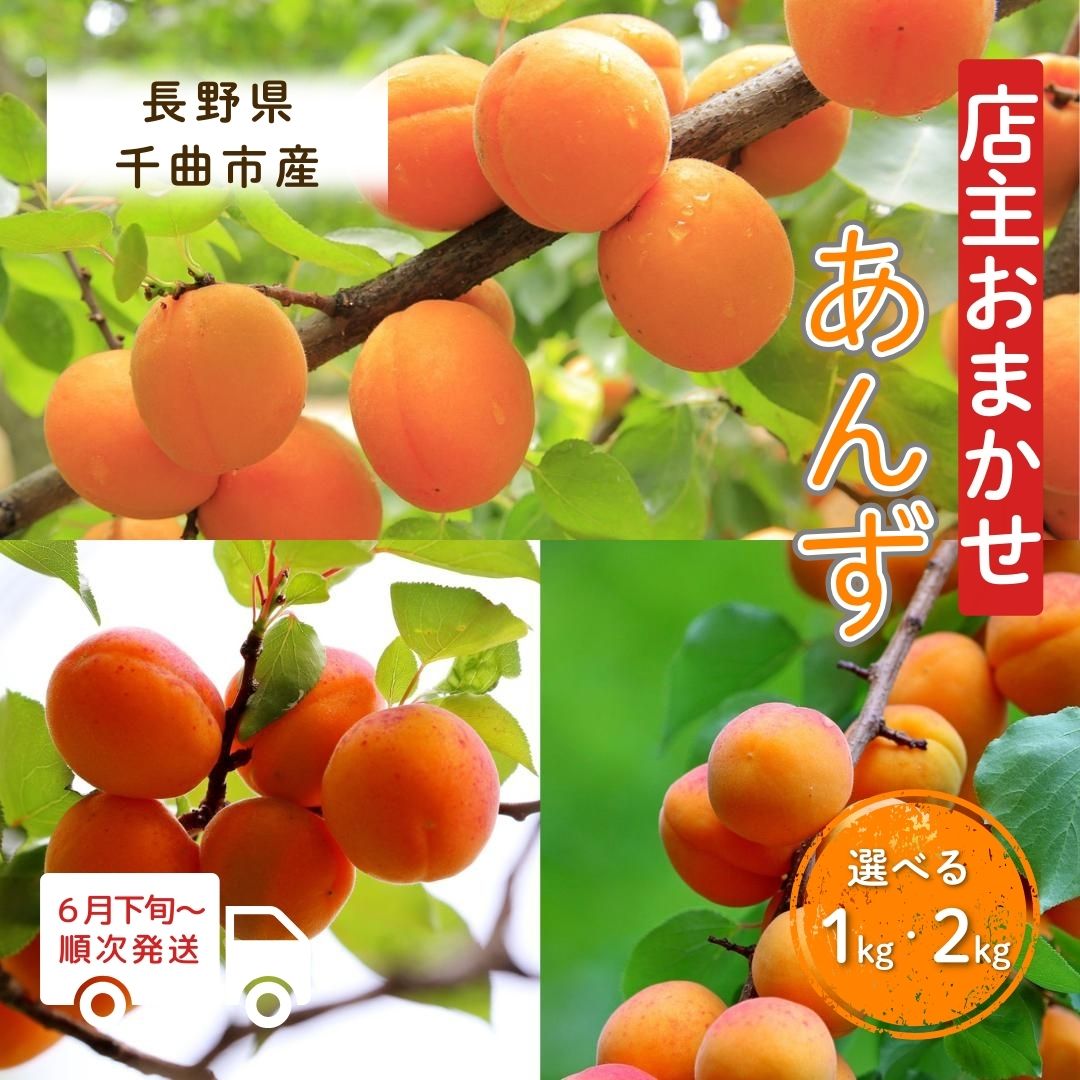 【ふるさと納税】【2025年先行予約】【6月下旬~発送予定】園主おまかせ あんずセット 選べる 1kg 2kg 島田農園 | 果物 あんず 杏 アプリコット 加工 昭和 信州大実 さつき 品種 セット シロップ漬け 果実酒 ジャム 限定 特産品 千曲市 長野県 信州