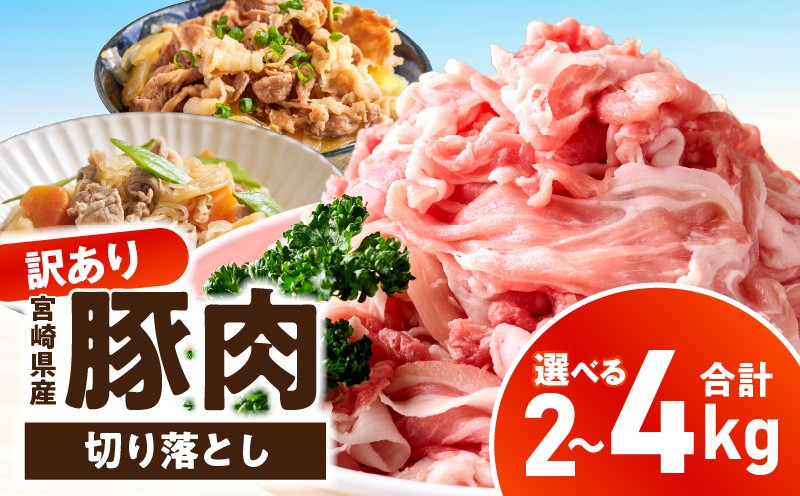 
                  【選べる内容量】【訳あり】宮崎県産豚肉切り落とし_kn126-001-SKU
                