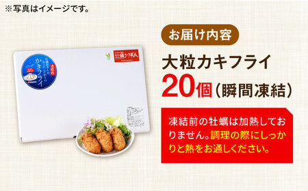 広島G7で提供された牡蠣！【全12回定期便】広島県産 牡蠣屋さんが作ったこだわりの大粒 カキフライ 20個（冷凍） かき 料理 海産物 瀬戸内 江田島市/マルサ・やながわ水産有限会社[XBL017]