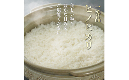 一等品 京都府産 ヒノヒカリ 5kg 玄米 宇治 ごはん ひのaひかり 令和6年産 京都 京都府 減農薬 EJ04