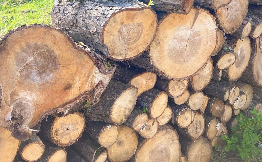 薪 広葉樹ミックス 10kg