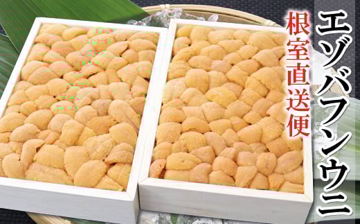 
            B-53006 エゾバフンウニバラ詰め150g×2折[5月中旬以降発送]
          