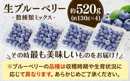 【冷蔵】【6月中旬から7月下旬に順次発送】ブルーベリー 520g（130g×4パック） 生ブルーベリー ミックスベリー ブルーベリー 三次市/小川モータース[APCH010]