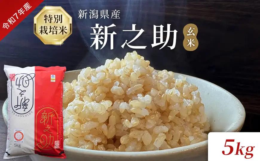 令和7年度産 新潟県産特別栽培米新之助（玄米）5kg