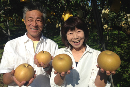 【2026年先行予約】和梨 新興 約3kg（約5〜7個）《11月上旬〜お届け》 山伴しなの川フルーツガーデン