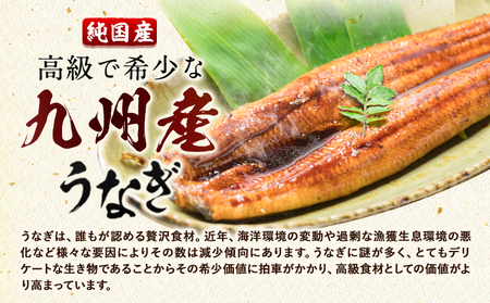 九州産 うなぎきざみ 12個《30日以内に出荷予定(土日祝除く)》ウナギ 鰻 送料無料 刻みうなぎ 刻み鰻 ボイル 九州 熊本 熊本県 御船町