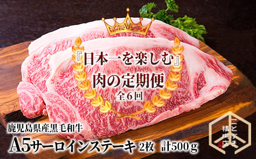 
1529-2 日本一を楽しむ鹿児島県産黒毛和牛の定期便【A5サーロインステーキ全6回】
