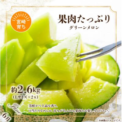 ふるさと納税 宮崎市 【発送月固定定期便】特選南国くだもの定期便全7回 |  | 03