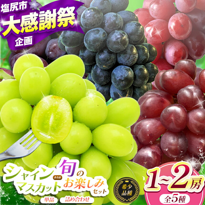 【ふるさと納税】【2026年 先行予約】 選べる！有機肥料栽培 シャインマスカット（単品 or セット）10月上旬頃発送開始 | 果物 くだもの フルーツ 葡萄 ぶどう シャインマスカット 希少 マイハート BKシードレス 富士の輝き 我が道 クイーンルージュ® 長野県 塩尻市