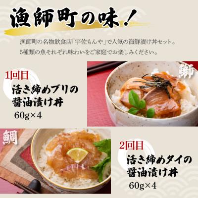 ふるさと納税 土佐市 【毎月定期便】土佐の海鮮丼セット(ブリ・タイ・カンパチ・マグロ・カツオ)各4P全5回 |  | 01