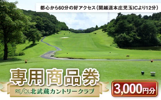 
            北武蔵CC専用商品券 3,000円分 北武蔵カントリークラブ ゴルフ場 スポーツ ギフト 贈り物 関東 F5K-379
          