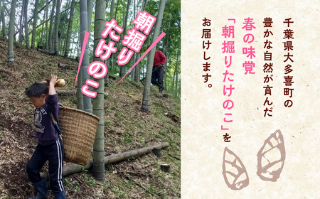 大多喜町平沢産　春の味覚「白筍」 W05403