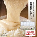 【ふるさと納税】【全6回定期便】自然薯麦とろセット（4人前）＜自然薯王国＞ 那珂川市 定期便 自然薯 とろろ 野菜 健康 個包装 そば お好み焼き 白米[GAH010]