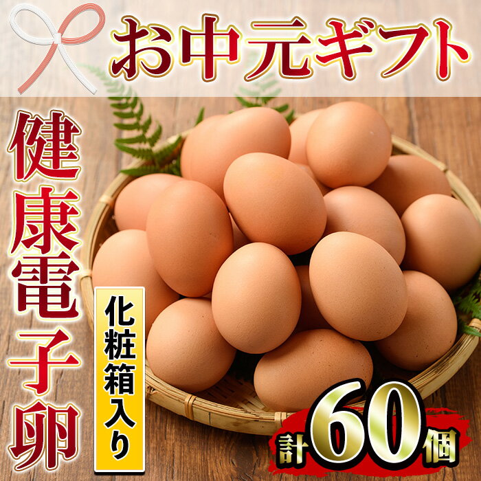 【ふるさと納税】＜2025年お中元ギフト＞鹿児島県産！健康電子卵(計60個・10個入り×6P) 国産 九州産 たまご タマゴ 玉子 生たまご 親鳥 親鶏 新鮮 鶏卵 小分け パック 朝ごはん おかず 割れ保障 安心 安全【峯元養鶏】