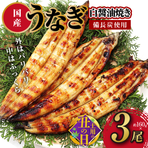 【土用の丑の日までにお届け】国産 うなぎ白醤油焼き3尾 せいろ蒸し 備長炭仕上げ 先行予約 099H2644c