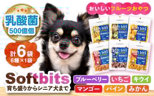 Softbits 【ブルーベリー/マンゴー/いちご/キウイ/パイン/みかん】アソート果物 （40g×6P）長崎県/株式会社サポート [42AEAE002] 果物 くだもの フルーツ ソフトビッツ ドッグ フード 犬 いぬ イヌ おやつ ペット 乳酸菌 国産 シニア 幼犬 老犬 小型犬 中型犬 大型犬 ドック 安心