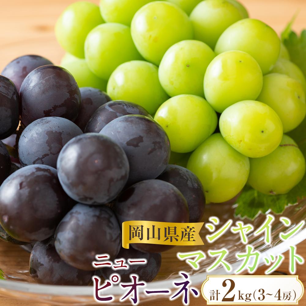 【ふるさと納税】ぶどう 2026年 岡山県産 シャインマスカット・ピオーネ 2種 詰め合わせ 計2kg（3～4房）ぶどう園AC | フルーツ 果物 くだもの 食品 人気 おすすめ 送料無料