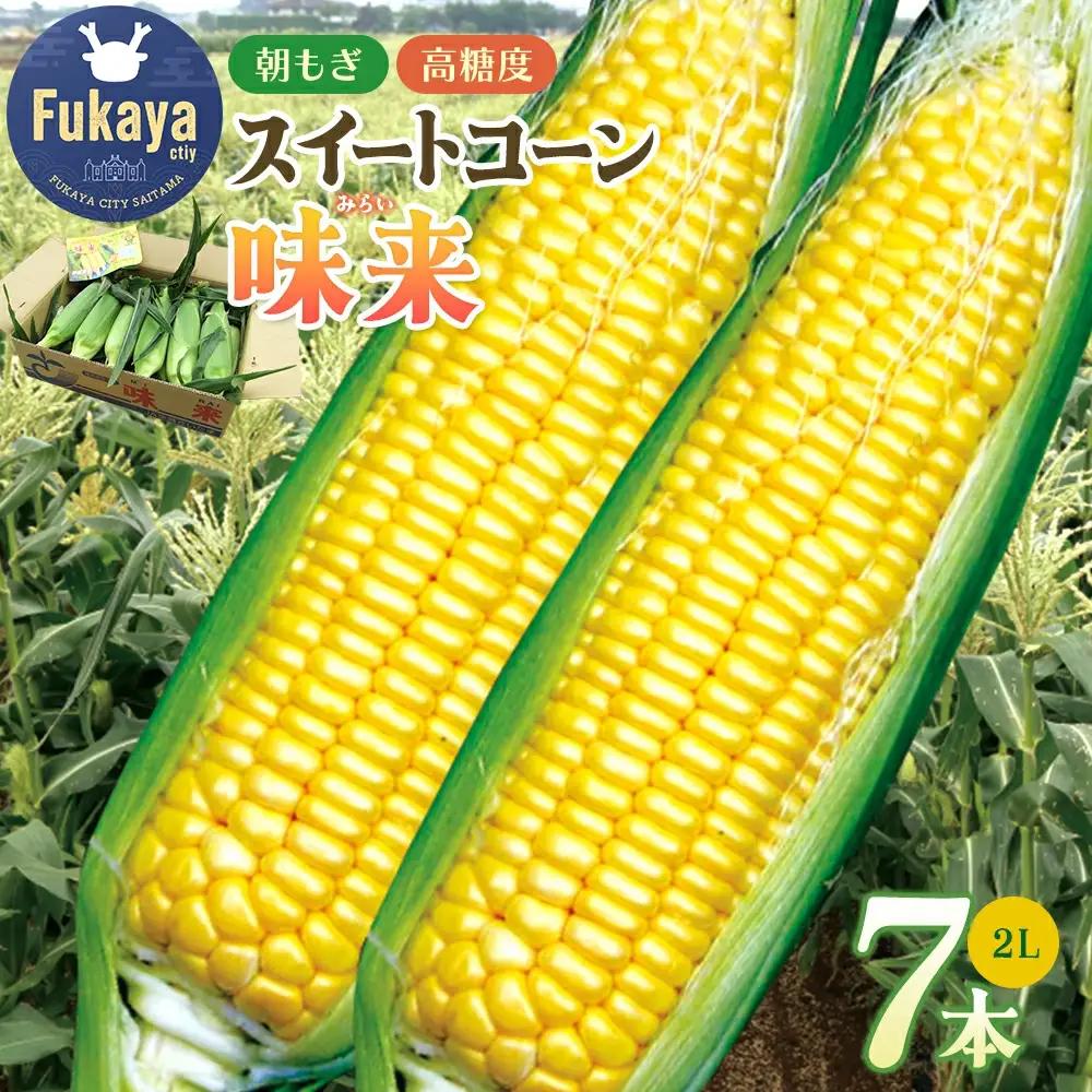 フルーツみたいなスイートコーン【味来（みらい）】7本　【11218-0139】