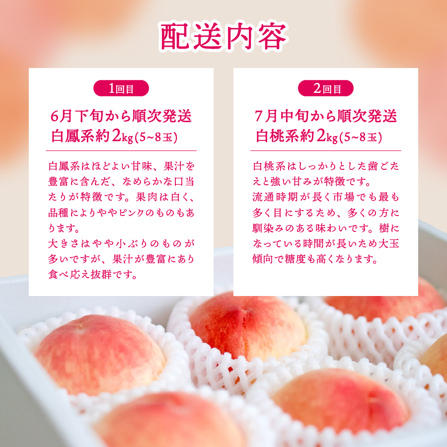 【2025年先行予約】【2回お届け！】山梨県産 桃 約2kg×2回配送 食べ比べ定期便