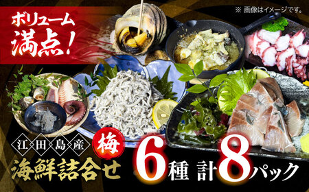 海鮮詰合せ 梅 魚介[XBY001]魚介魚介魚介魚介魚介