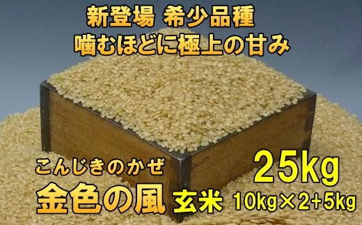 新米 新登場の高級米 令和7年産 岩手県奥州市産 金色の風 玄米25kg 【7日以内発送】 おこめ ごはん ブランド米 [AC035]