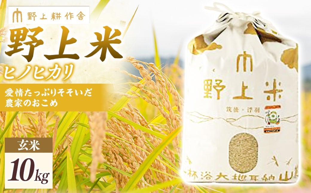 【2025年10月下旬より順次発送開始】野上耕作舎 野上米ヒノヒカリ 玄米10kg ひのひかり 玄米 米 お米 ご飯 国産 九州産 福岡県 うきは市