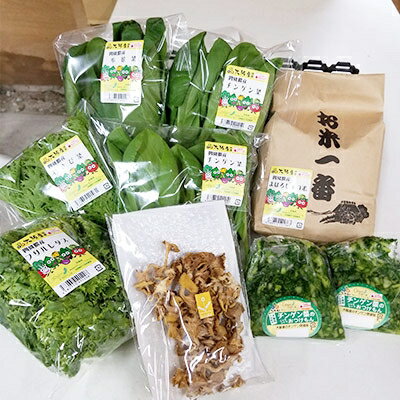 【ふるさと納税】四條畷産・大阪産(おおさかもん)野菜4〜6品目とお米3kgの詰め合わせ【配送不可地域：離島・北海道・沖縄県】【1052609】