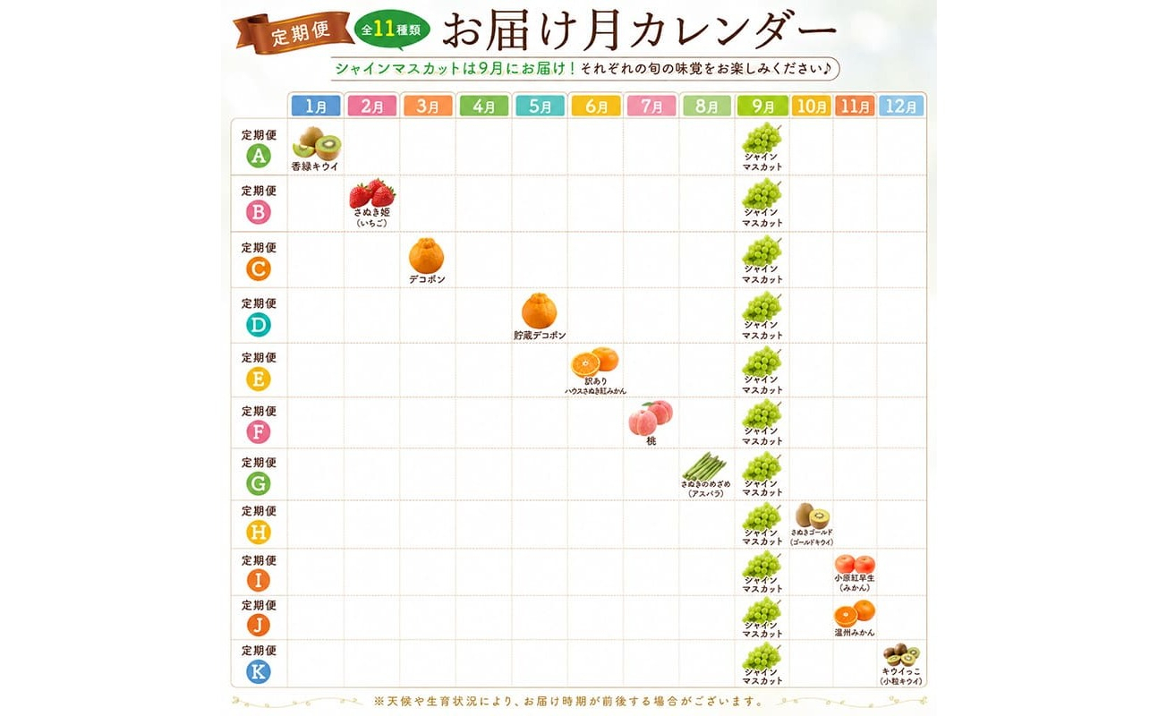 定期便 2回 シャインマスカット デコポン 不知火 しらぬひ しらぬい 柑橘 ぶどう 果物 フルーツ 旬 旬のフルーツ 贈答用 ギフト プレゼント 香川県 丸亀市