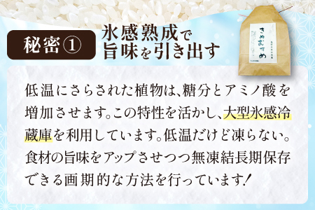 【定期便】「きぬむすめ」（精米5kg）とご飯のおとも「石見銀山和牛しぐれ」(5回お届け) 【米 定期便 お米 5kg 5回 きぬむすめ こめ おこめ 精米 5kg×5回 和牛しぐれ 1袋 50g×5回