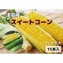 【ふるさと納税】【新潟県 津南町産】朝取りスイートコーン 2Lサイズ 15本（1本約400g）