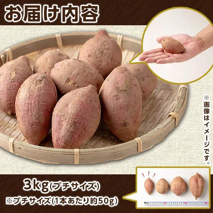 安納芋 さつまいも プチサイズ3kg 【種子島安納大地】n224