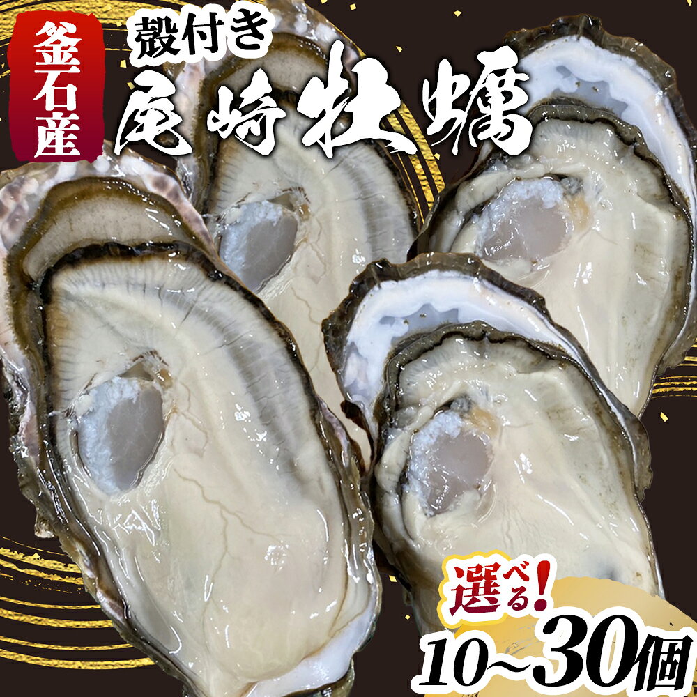 【ふるさと納税】 殻付き 尾崎牡蠣 《11月頃より順次発送予定》 10個 20個 30個 選べる 個数 釜石産 三陸産 尾崎白浜 牡蠣 カキ かき 生牡蠣 蒸し牡蠣 焼き牡蠣 新鮮 鮮度 直送 岩手県 釜石市