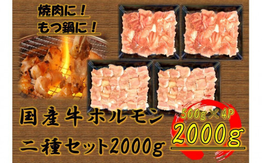 
            国産牛　ホルモン二種セット2000g
          