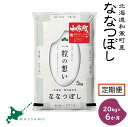 【新米予約】《6か月定期便》 北海道和寒町産ななつぼし20kg(5kg×4袋) ふるさと納税 ななつぼし 米 北海道 定期便