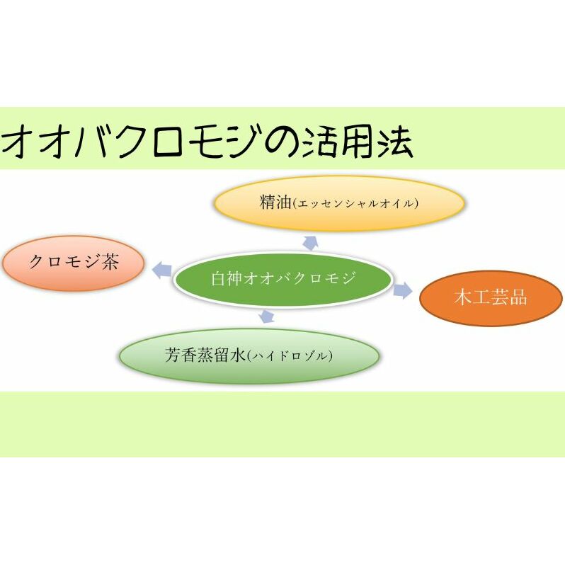 【白神アロマ研究所】5名様まで参加可能！白神クロモジ蒸留体験ツアー（昼食付）_イメージ3