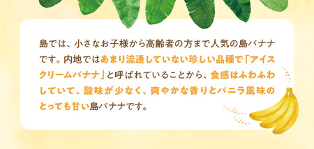 ■ 栽培期間中 農薬 ・ 除草剤 ・ 化学肥料不使用 ！ バニラ風味 の 甘い 島バナナ 1.5kg 【2025年6月～2025年11月下旬お届け】 W043-006u バナナ フルーツ 果物 島限定
