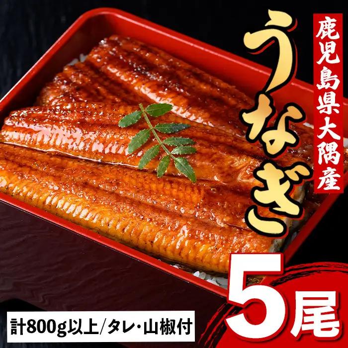 国産 鰻 蒲焼 5尾 計800g以上 うなぎ 鰻 有頭【一般社団法人きもつき宇宙協議会】C57003 