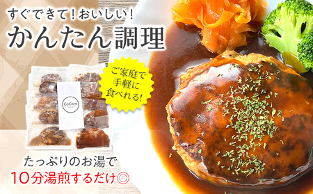 【定期便】どっちも食べたい デミグラスハンバーグ＆和風ハンバーグ （合計4回） ハンバーグ 手ごね 和風 デミグラス 国産 晩御飯 おかず お弁当 冷凍 合挽 レンジ 温めるだけ レンチン 湯銭 二種