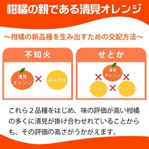 【2024年4月より発送】とにかくジューシー清見オレンジ　5kg【日高町】【1216976】