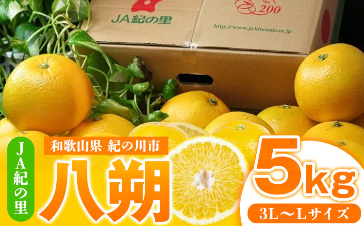 
            【先行予約】はっさく 八朔約5kg(3L-Lサイズ) JAわかやま 紀の里地域本部 《2026年1月上旬-3月末頃出荷》 和歌山県 紀の川市 果物 フルーツ 柑橘 はっさく
          