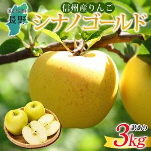 ＜26年10月下旬頃～発送 先行予約＞長野県産 りんご シナノゴールド 訳あり 約3kg リンゴ 旬 フルーツ 訳アリ 林檎 果物 規格外 自家用 産地直送 農園 産直 お取り寄せ もぎたて 採れたて 送料無料 堀田農園 信州 大町市