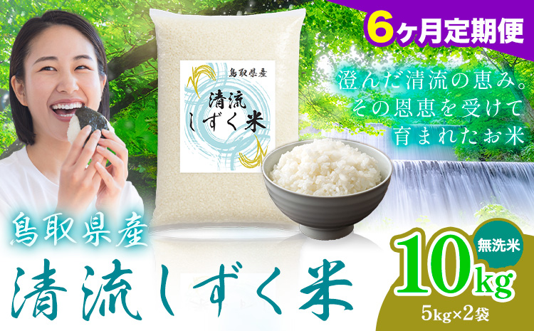 【6ヶ月定期便】鳥取 ふるさと 無洗米 10kg  清流しずく米《お申し込み月の翌月から出荷開始》鳥取県 八頭町 米 お米 ご飯 八頭 ふるさと無洗米 生活応援 ブレンド米 複数原料米 訳あり 小分け kome ご飯