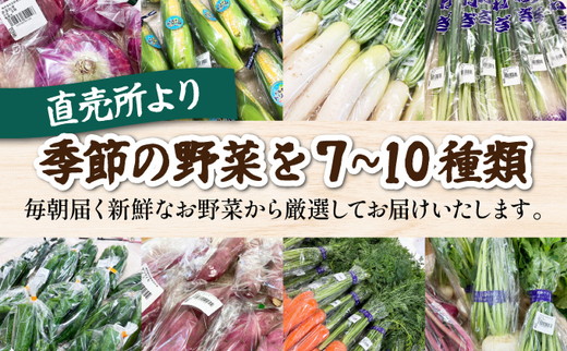 野菜 定期便 直送 6回 朝採れ 7～10品目 京都丹波 亀岡 佐伯の里 訳あり生活応援 家計応援 ※北海道・沖縄・離島への配送不可