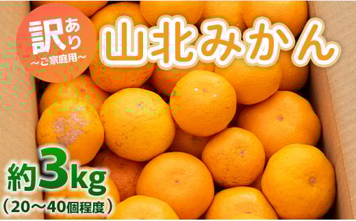 訳あり みかん 山北みかん 3kg 約20～40個入り 甘い - 果物 フルーツ 柑橘類 温州みかん ミカン 蜜柑 訳アリ わけあり 生産者応援 甘い おいしい 美味しい 山北みらい 高知県 香南市 yk-0047