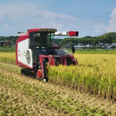ふるさと納税 美浦村 【令和7年産】茨城県産にじのきらめき　10kg　精米(5kg×2袋) |  | 01