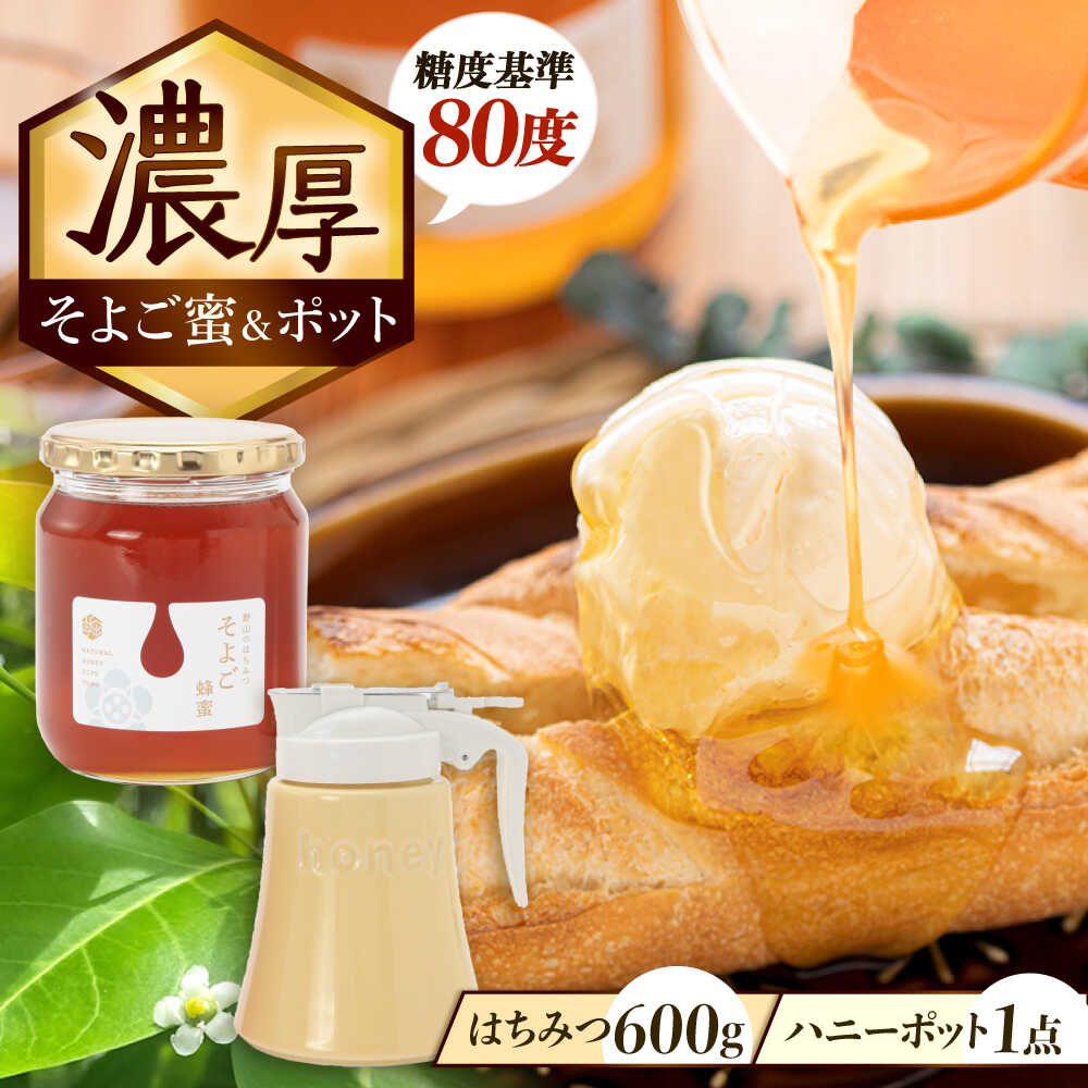 【ふるさと納税】はちみつ そよご蜜 × ハニーポット (黄) ビギナーズセット 瑞浪市 / 堀養蜂園 蜂蜜 国産 陶磁器[AZCF006]