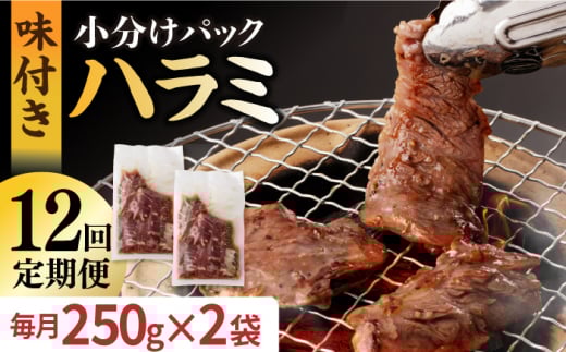 【12回定期便】ハラミ【塩だれ】九州産和牛ハラミ 毎月250g×2袋（計6kg）長与町/岩永ホルモン [EAX161] 国産 牛肉 ハラミ 牛ハラミ はらみ 小分け 味付き サガリ 焼肉 焼き肉 塩 しお 冷凍 焼肉 焼き肉 やきにく 九州 定期便 ていきびん 定期