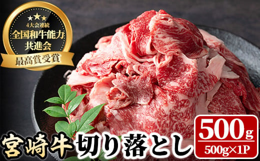 
宮崎牛 切り落とし(500g) 牛肉 肉 ブランド牛 冷凍 国産 精肉 お取り寄せ 黒毛和牛 宮崎県 【LJ004】【レグセントジョイラー株式会社】
