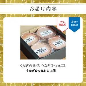 うなぎひつまぶし E07005